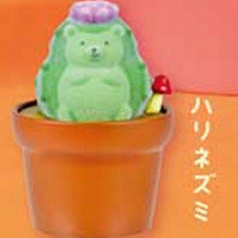 Urocze Kawaii Słodkie Kaktusy  – Capsule Toy Gashapon recenzja i cena